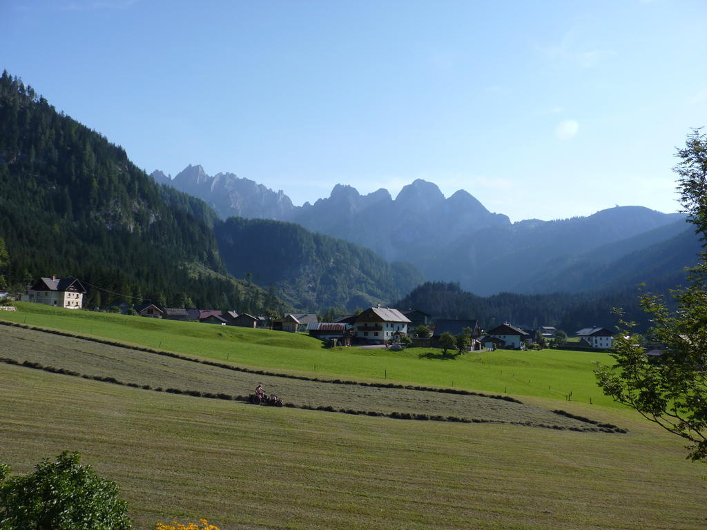 Inge Gapp Gosau