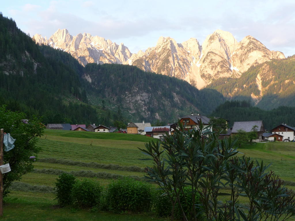 Apartment Inge Gapp Gosau